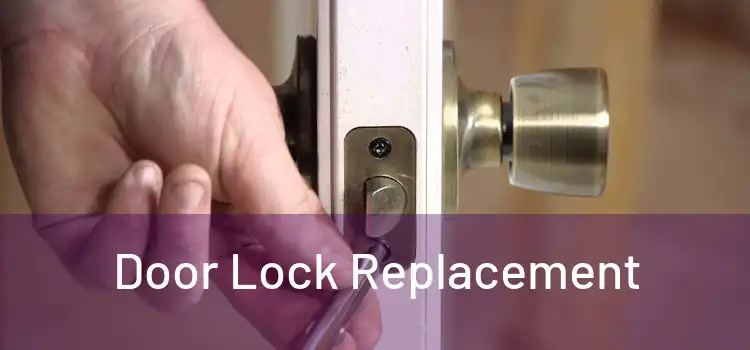  Door Lock Replacement 