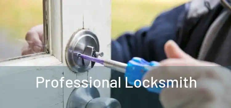  Professional Locksmith 